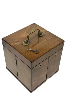 Pamono 19th Century English Medicine Chest by Clay & Abraham, Liverpool><noscript><img width=