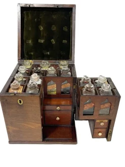 Pamono 19th Century English Medicine Chest by Clay & Abraham, Liverpool><noscript><img width=