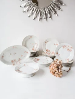 Best Pamono 19th Century French Dinner Service by Adolphe Hache, Set of 24
