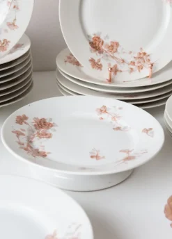 Best Pamono 19th Century French Dinner Service by Adolphe Hache, Set of 24