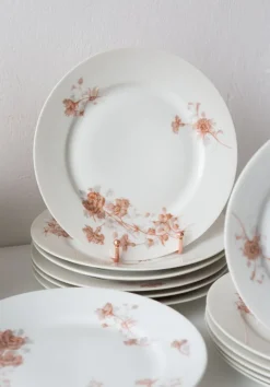 Best Pamono 19th Century French Dinner Service by Adolphe Hache, Set of 24