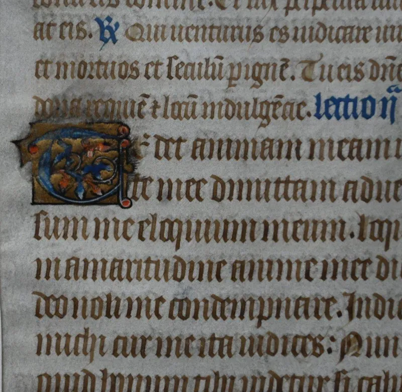 Pamono 15th Century Gothic Illuminated Manuscript Parchment> Posters