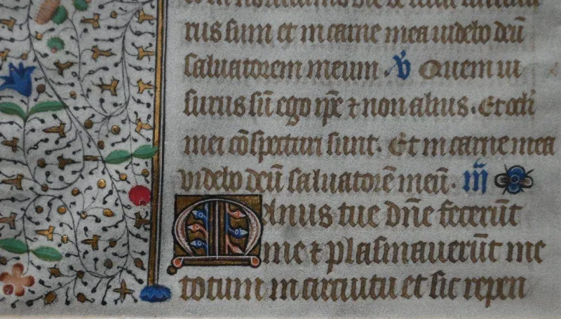 Pamono 15th Century Gothic Illuminated Manuscript Parchment> Posters