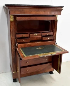 Pamono 19th Century Retour d’Égypte Mahogany Burl Veneer Secretaire