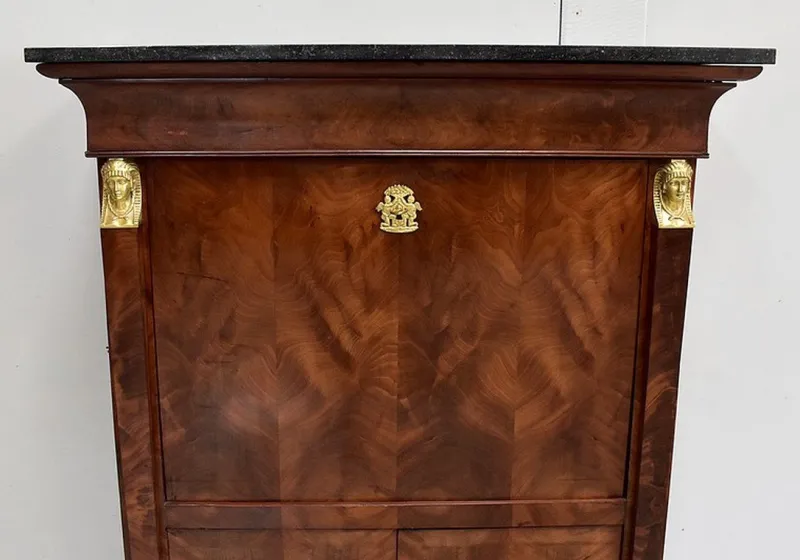 Pamono 19th Century Retour d’Égypte Mahogany Burl Veneer Secretaire