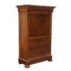 Best Pamono 19th Century Secretary in Walnut, France