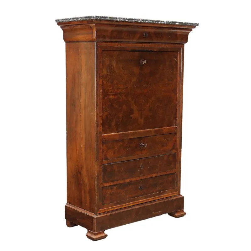 Best Pamono 19th Century Secretary in Walnut, France