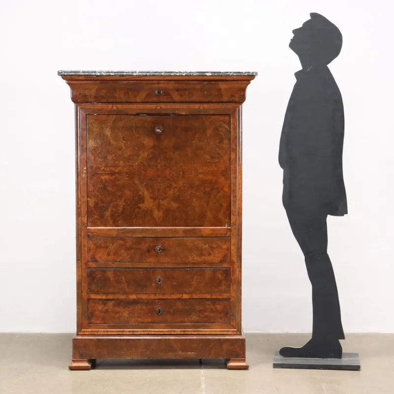 Best Pamono 19th Century Secretary in Walnut, France