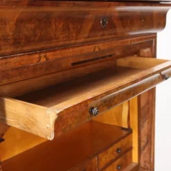 Best Pamono 19th Century Secretary in Walnut, France