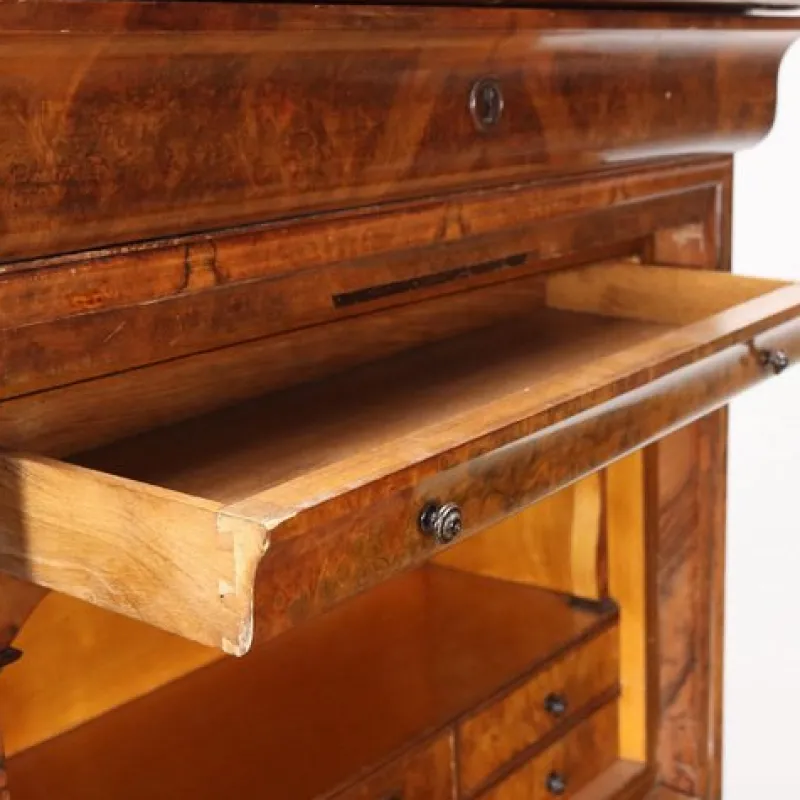 Best Pamono 19th Century Secretary in Walnut, France