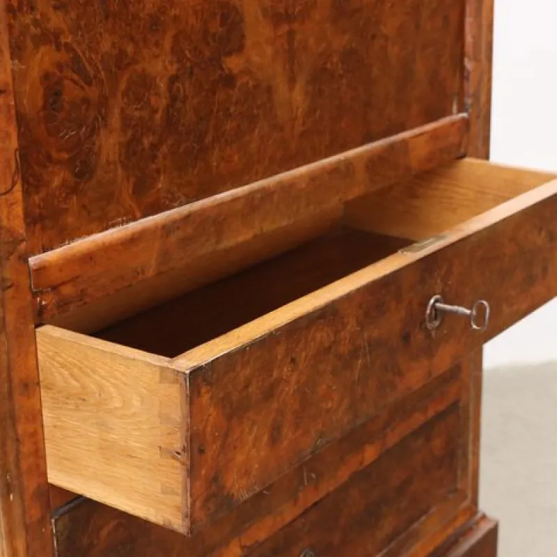 Best Pamono 19th Century Secretary in Walnut, France