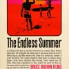 Outlet Pamono The Endless Summer Original US Film Poster by John Van Hamersveld, 1965