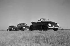 Pamono Three Models of the Volkswagen Beetle, Germany, 1938, Photograph> Mid-Century