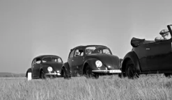 Pamono Three Models of the Volkswagen Beetle, Germany, 1938, Photograph> Mid-Century
