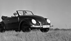 Pamono Three Models of the Volkswagen Beetle, Germany, 1938, Photograph><noscript><img width=