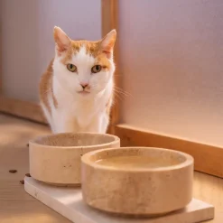 Pamono Travertine Pet Bowl from Kiwano Concept><noscript><img width=