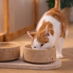 Pamono Travertine Pet Bowl from Kiwano Concept><noscript><img width=