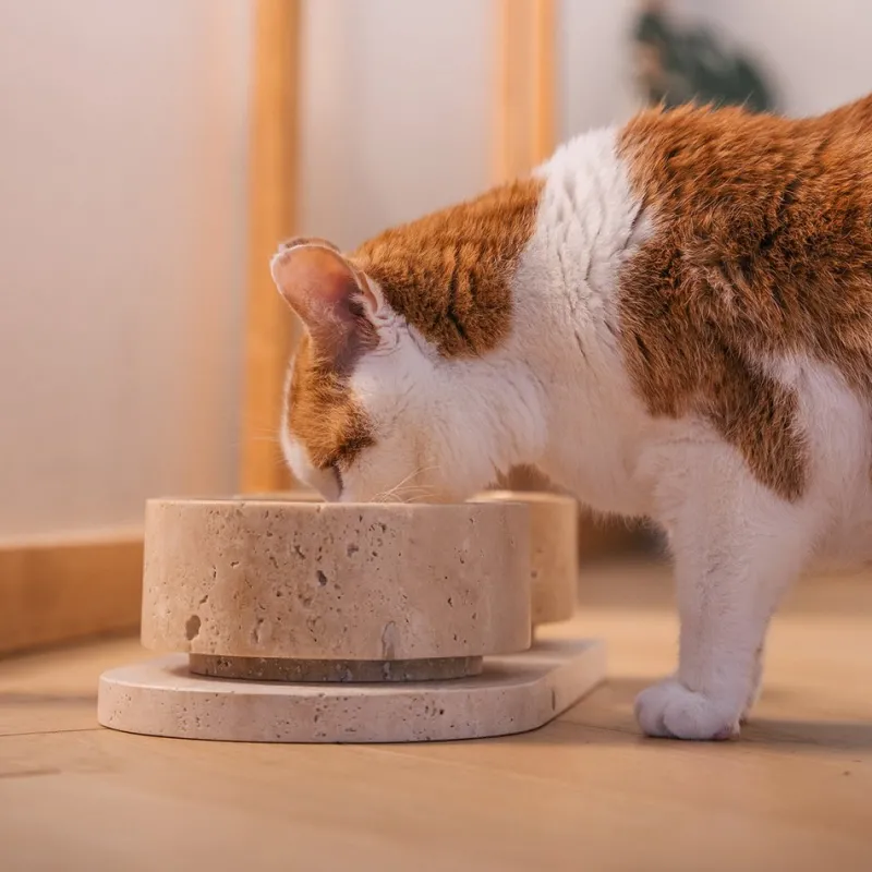 Pamono Travertine Pet Bowl from Kiwano Concept> Tabletop|Bowls