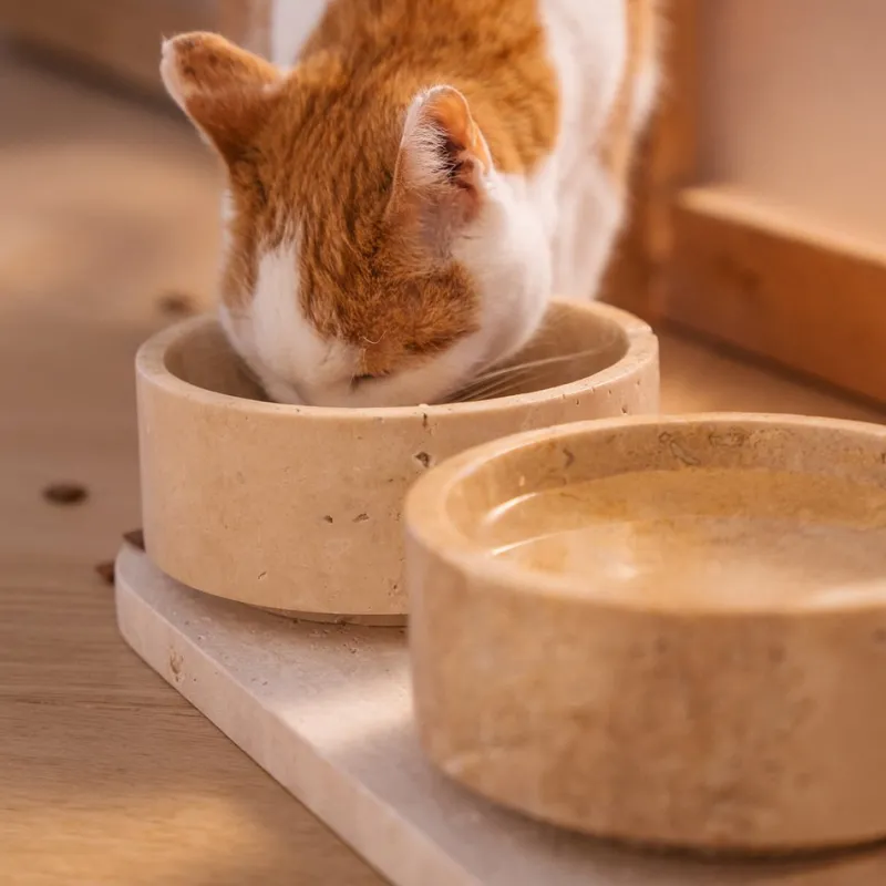 Pamono Travertine Pet Bowl from Kiwano Concept> Tabletop|Bowls