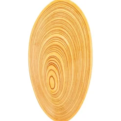 New Pamono Tray by Tapio Wirkkala for Soinne et Kni, Finland, 1950s
