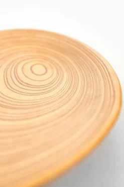 New Pamono Tray by Tapio Wirkkala for Soinne et Kni, Finland, 1950s