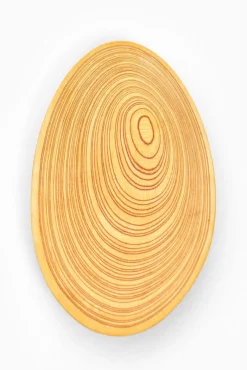 New Pamono Tray by Tapio Wirkkala for Soinne et Kni, Finland, 1950s