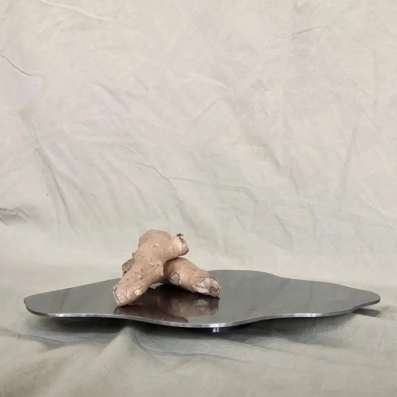 Pamono Tray in Sanded Stainless Steel by Esther De Vos> Tabletop|Trays