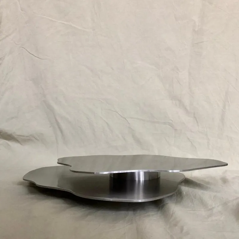 Pamono Tray in Sanded Stainless Steel by Esther De Vos> Tabletop|Trays