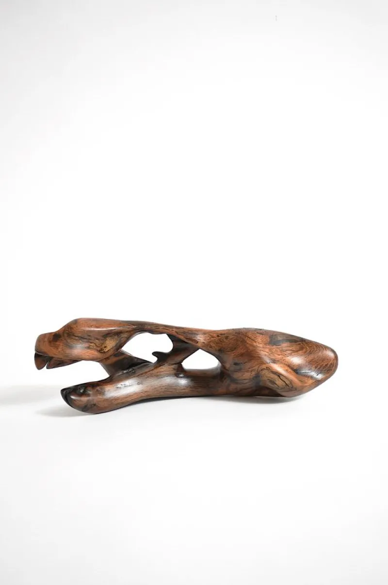 Pamono Tropical Driftwood Sculpture by Jörg Pietschmann> Decorative Objects
