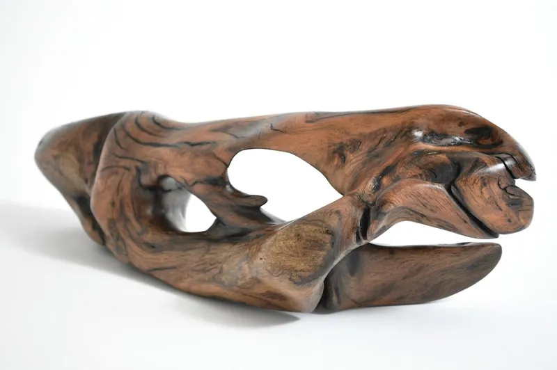 Pamono Tropical Driftwood Sculpture by Jörg Pietschmann> Decorative Objects