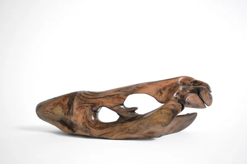 Pamono Tropical Driftwood Sculpture by Jörg Pietschmann> Decorative Objects