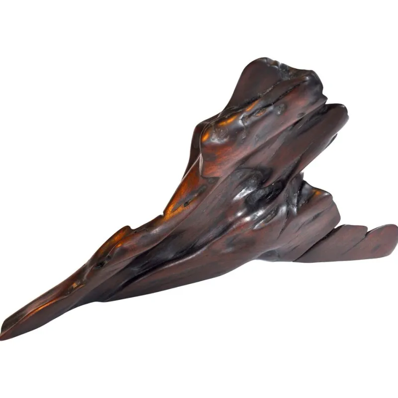 Clearance Pamono Tropical Driftwood Sculpture by Jörg Pietschmann