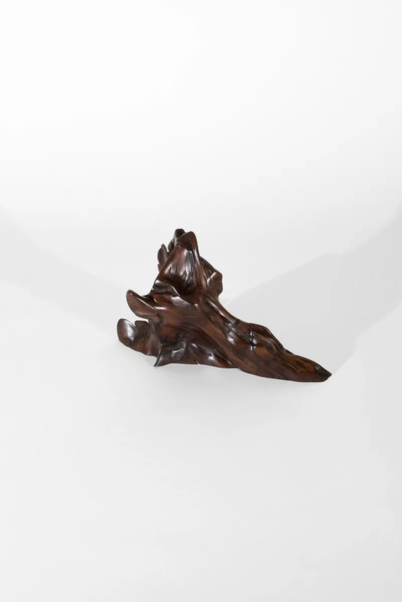 Clearance Pamono Tropical Driftwood Sculpture by Jörg Pietschmann