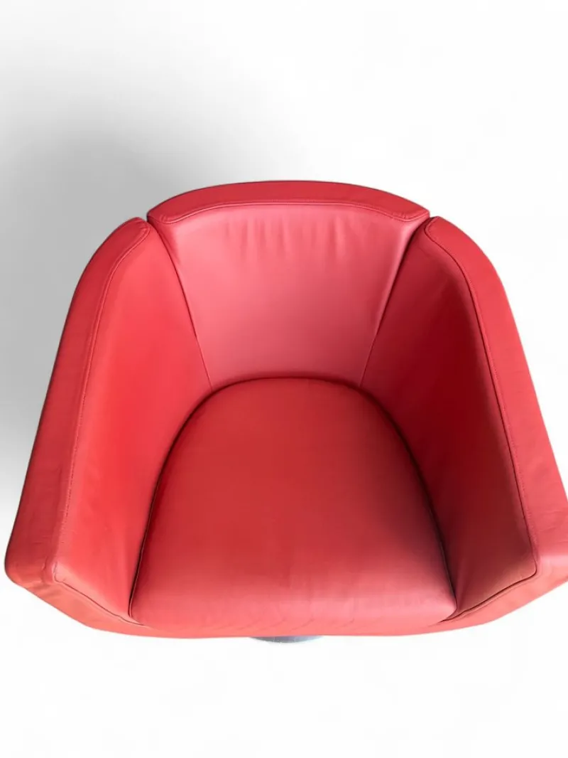 Sale Pamono Tulip Chairs from B&B Italia, 1990s, Set of 4