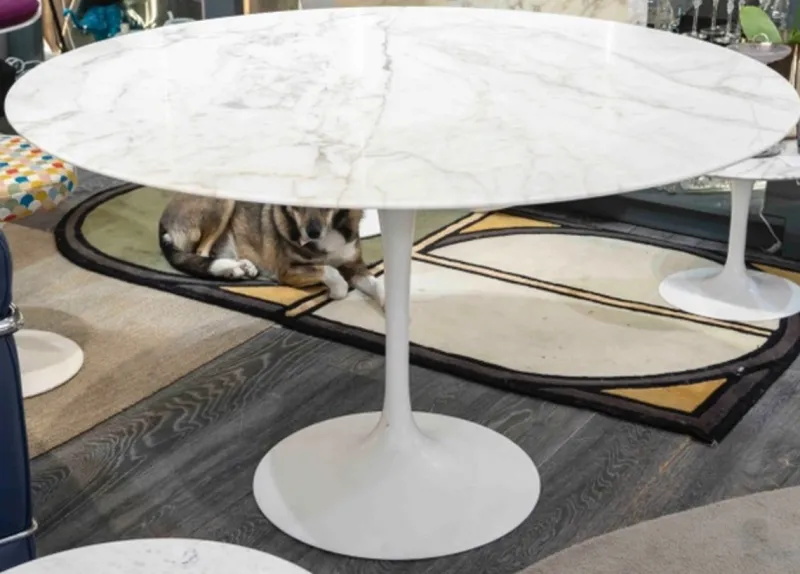 New Pamono Tulip Table by Eero Saarinen for Knoll, 1951