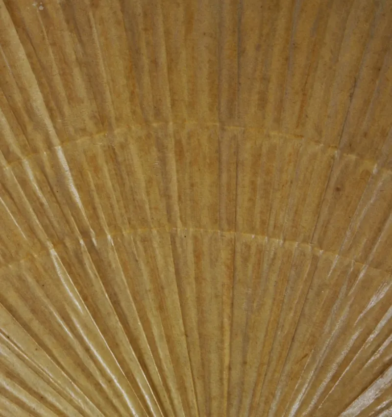 Pamono Uchiwa II Wall Lamp by Ingo Maurer, 1970> Wall Lights & Sconces