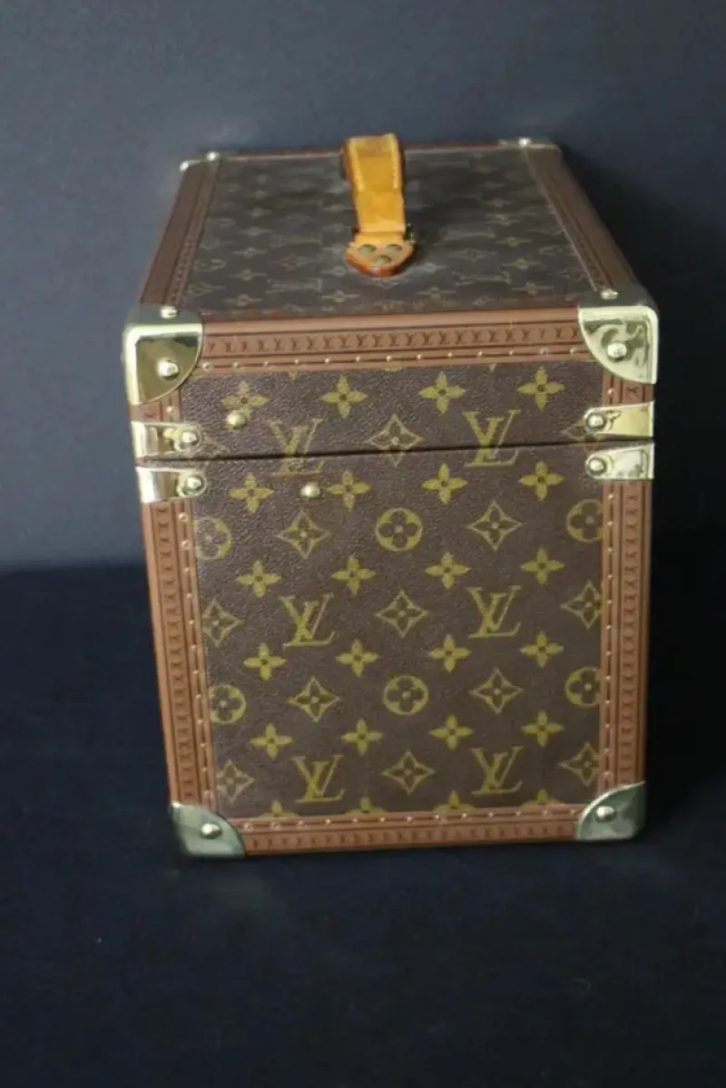 Hot Pamono Vanity Case in Monogram Canvas from Louis Vuitton