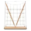 New Pamono Veliero Bookcase in Wood by Franco Albini for Cassina