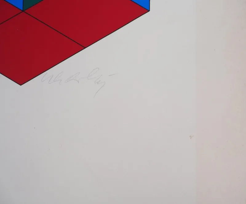 Pamono Victor Vasarely, Kinetic Composition: Bi Hexa, Screenprint> Prints & Multiples
