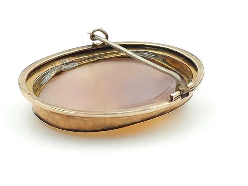 Clearance Pamono Victorian Brooch with Cameo in 14-Karat Gold