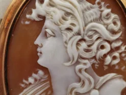 Clearance Pamono Victorian Brooch with Cameo in 14-Karat Gold