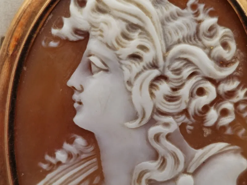 Clearance Pamono Victorian Brooch with Cameo in 14-Karat Gold
