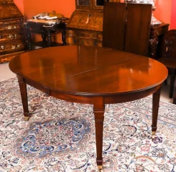 Hot Pamono Victorian Dining Table and Barback Dining Chairs, 1890s, Set of 9