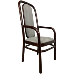 Pamono Vinage Office Chair by Antonín Šuman for Ton, 1960s