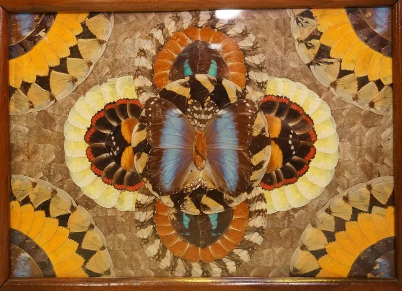 Pamono Vintage Brazilian Inlaid Wood Tray with Real Morpho Butterfly Wings> Trays