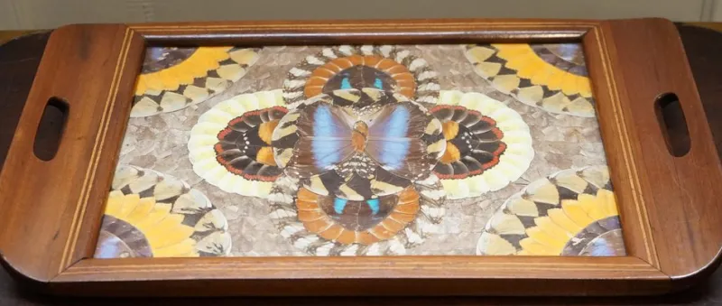Pamono Vintage Brazilian Inlaid Wood Tray with Real Morpho Butterfly Wings> Trays