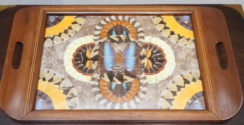 Pamono Vintage Brazilian Inlaid Wood Tray with Real Morpho Butterfly Wings> Trays