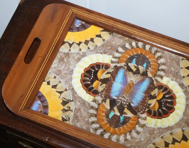 Pamono Vintage Brazilian Inlaid Wood Tray with Real Morpho Butterfly Wings> Trays