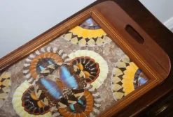 Pamono Vintage Brazilian Inlaid Wood Tray with Real Morpho Butterfly Wings><noscript><img width=