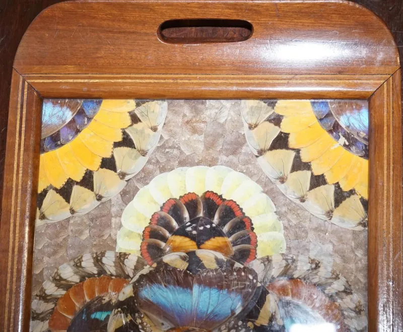 Pamono Vintage Brazilian Inlaid Wood Tray with Real Morpho Butterfly Wings> Trays